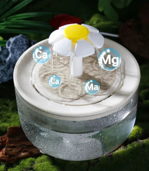 Cat Water Fountain